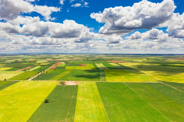 Pola rolne w wiosce w Hiszpanii. — Zdjęcie stockowe