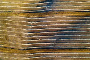 Castilla y Leon İspanya kuş bakışı tahıl alanları