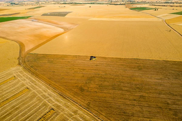 Cereal fields in Castilla y Leon Spain bird��s eye view — Stock Photo, Image