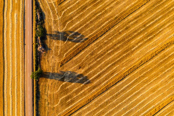 Obilná pole v Kastilii y Leon Španělsko pohled na ptačí oko — Stock fotografie