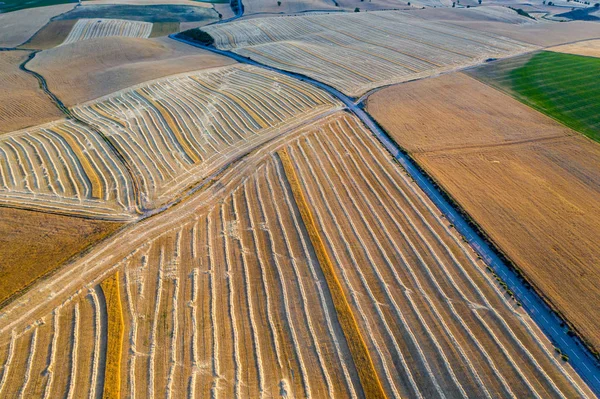 Cereal fields in Castilla y Leon Spain bird��s eye view — Stock Photo, Image