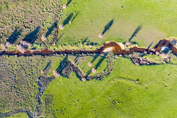 Pequeno fluxo em um prado com grama muito verde — Fotografia de Stock