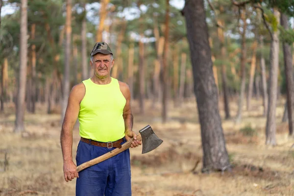 Un leñador con hacha en las manos. El leñador trabajando en un bosque de pinos. Maderera posando para una fotografía . — Foto de Stock