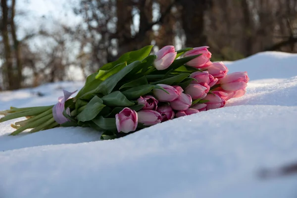 Bouquet Roses Snow — Stock Photo, Image