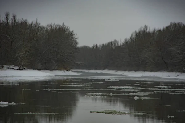 Floes Glace Flottant Sur Rivière Hiver Rivière Hiver — Photo