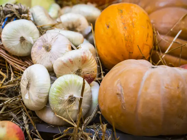 Orange Pumpkins White Onions — Stock Photo, Image