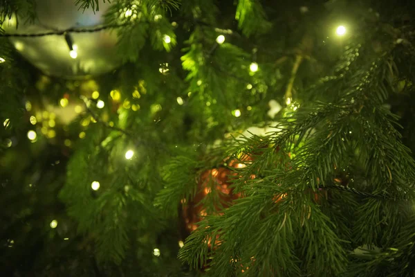 Decorazioni Dell Albero Natale Sui Rami — Foto Stock