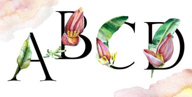 Çiçekli alfabe. El çizimi illüstrasyon muz ağacı yeşil yaprakları, kırmızı çiçekli. Büyük harfler.