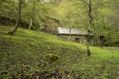 Casa de camino al bosque.