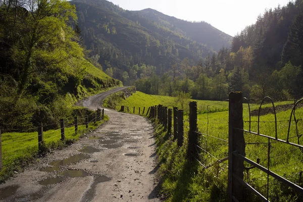 Paisaje de naturaleza de da.