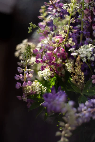 yabani lupins buketi  