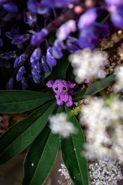 Häkeldrachen Lupinen — Stockfoto