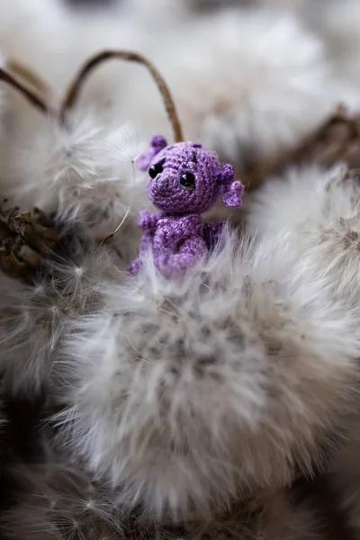 Crochet Dragon Dandelions — Stock Photo, Image