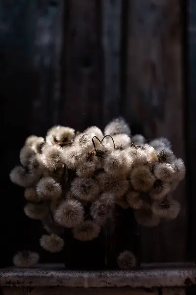 白いタンポポの花束 — ストック写真
