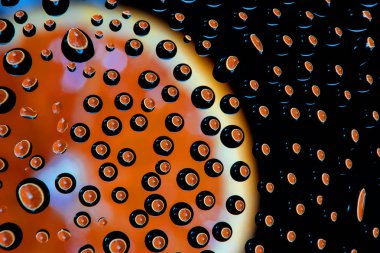 Portakal Dilimi su birçok damla rahatladı