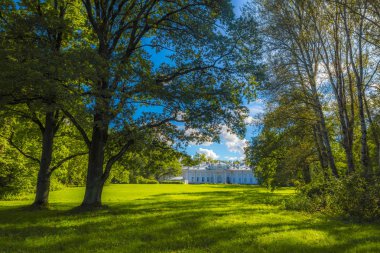 Çay Palace, San, St Petersburg