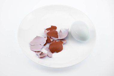 Yukarıdan görüntüleyin. Beyaz bir plaka üzerinde temiz haşlanmış yumurta. Kabuk. Arka plan beyaz bulanık yakın çekim