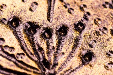 Plastik, arka plan ekran koruyucu şemsiyesi dokulu desen yakın çekim. İnci, patina altın anası. Arka plan biraz bulanık karanlık olduğunu