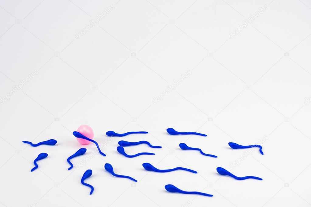 A blue sperm cell fertilizes a pink egg, and a group of sperm cells swims nearby. Fertilization of the egg, side view, bottom. Imitation of conception, handmade, close-up. The background is white, blurred. Signature space