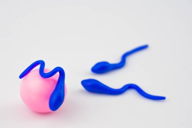 Sperm ve yumurta, iki sperm yanında. Fertilizasyon yumurtanın sperm, gebe, el yapımı, yakın çekim taklit tarafından. Arka plan beyaz, bulanık. İmza alanı