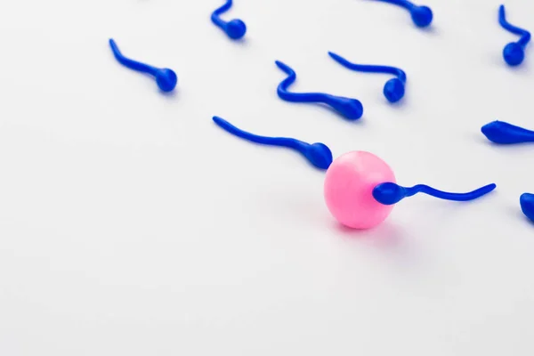 Sperme Pénètre Dans Œuf Amour Fécondation Ovule Par Sperme Imitation — Photo