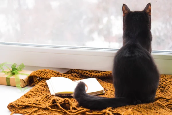 Gato Negro Sienta Mira Por Ventana Del Alféizar Ventana Junto — Foto de Stock