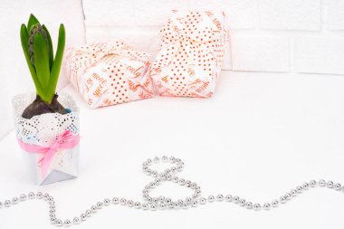 Çiçek aranjmanı, Natürmort. En sevdiğim kızlarına Uluslararası Kadınlar Günü tebrik. Hassas campanula'lar, sümbül dalında vintage ambalaj. Hediye lekeli bir saten kurdele ile bağlı romantik ambalaj kutularında. Gümüş boncuk la