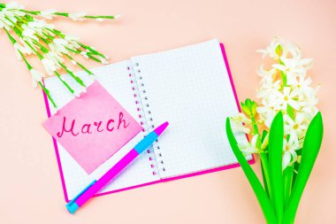 Festival kavramı. Bahar çiçekleri ve kadınların selamlar. Pembe kapak: Not defteri ve tükenmez kalem. Üstünde tepe-in belgili tanımlık defter bir imza ile 8 Mart kartıdır. Bahar arka plan pembe