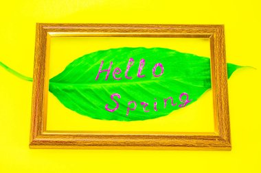 Ahşap çerçeve üzerinde bir parlak sarı yüzey yakın çekim yatıyor. Merhaba bahar imzayla Spathiphyllium çiçek yaprak yeşil çerçeveli. Arka plan sarıdır. Bahar parlak kavramı