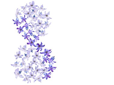 Rakamı 8 mavi sümbül çiçekleri beyaz zemin üzerinde bir dizi. İmzalamak için bir yer. Bahar kavramı 8 Mart kadınlar günü