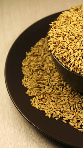 Spring Sowing Grain Crops Bake Bread Wheat Highest Grade — Stock Photo, Image