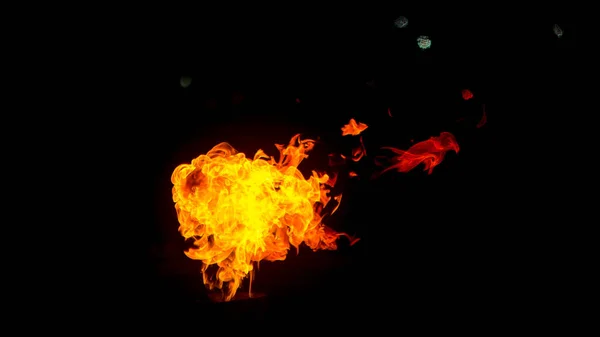 Feuer in Form von Füchsen und Vögeln. Flammen auf schwarzem Hintergrund. Feuer auf schwarzem Hintergrund isoliert. Brandmuster. — Stockfoto