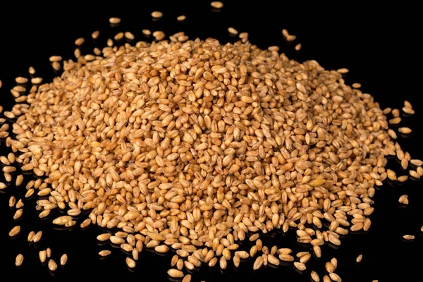 Wheat close-up. Wheat grains on a black background. Durum wheat. — Stock Photo, Image