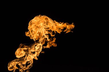 Siyah izole arka plan üzerinde şekilli ördek yangın alev. yangın desenleri