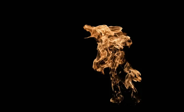 Вогонь у вигляді собак або вовка. Вогняне полум'я на чорній спині — стокове фото