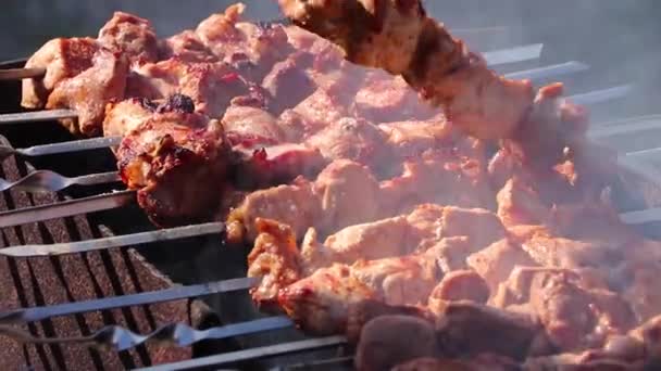 Fry Shish Kebabs Barbecue Bbq Backyard Summer Weekend Chef Prepares — Stock Video