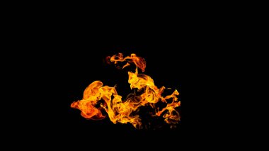 Siyah arka plandaki yangın alevleri izole edildi. Ateş ve alevlerle yanan benzin ya da benzin yanıkları. Yanan kıvılcımlar, ateş şekilleri. Karanlıkta fotokopi uzayı ile cehennem ateşi parlıyor.