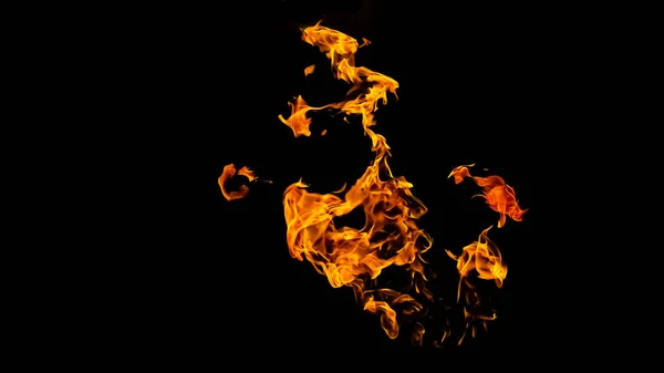 Fire Flames Black Background Isolated Burning Gas Gasoline Burns Fire — Stock Photo, Image