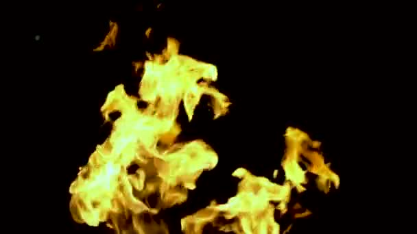 Oheň Plameny Černém Pozadí Izolované Hořící Plyn Nebo Benzín Hoří — Stock video
