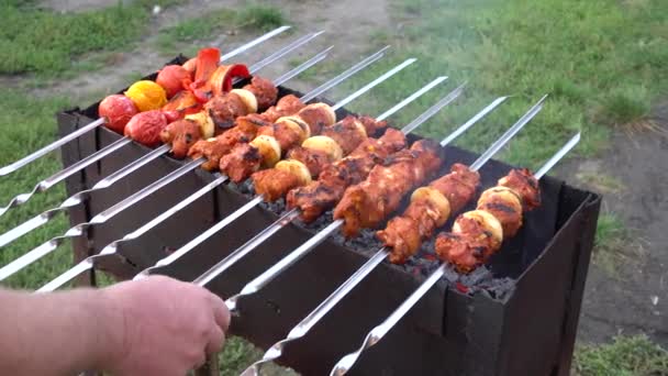 Video Cocinar Freír Shish Kebab Barbacoa Barbacoa Shashlik Carne Sobre — Vídeos de Stock