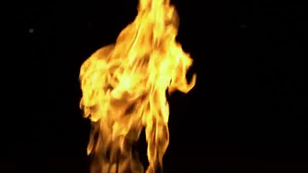 Fire Plameny Video Černém Pozadí Izolované Hořící Plyn Nebo Benzín — Stock video