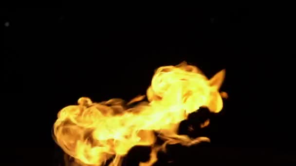 Feuerflammen Video Auf Schwarzem Hintergrund Isoliert Brennendes Gas Oder Benzin — Stockvideo