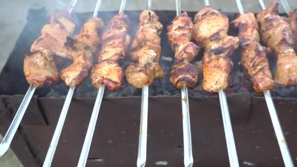Vidéo Cuisson Friture Shish Kebab Barbecue Barbecue Shashlik Viande Sur — Video