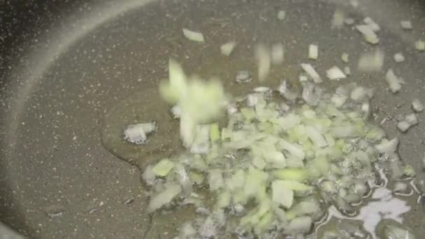 Βίντεο Σερβίρισμα Φρέσκων Ψιλοκομμένων Κρεμμυδιών Ένα Τηγάνι Λάδι Μαγειρική Vegan — Αρχείο Βίντεο