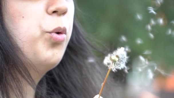 Una Giovane Ragazza Aspetto Europeo Con Capelli Lunghi Soffia Dente — Video Stock