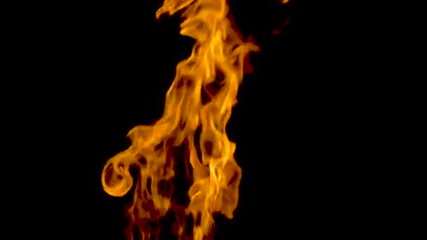 Powolny Film Ogniu Płomieniach Ognisko Spalanie Gazu Lub Benzyny Płonie — Wideo stockowe