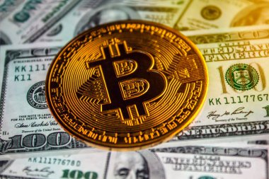 Biz dolarların arka planına karşı Bitcoin parası. Bir sürü Amerikan doları ve altın bitcoin. Para ve kripto para geçmişi. Para geçmişi. Dolarla dolu ekranı kapat..