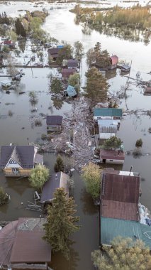 Küresel ısınma, iklim değişikliği, tsunami, fırtına ve yıkım. Gezegendeki seller, kıyamet, felaketler. Doğal afetler, ayaklanmalar. İnsan yaşamının kalıntıları kirli sularda yüzüyor. Son.