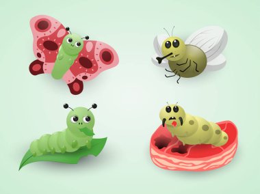 Solucan yaprakları yiyor ve kelebeğe dönüşür, larva et yiyor ve bir sinek döner. Biz ne yemek olduğunu kavramı. Vektör çizim.