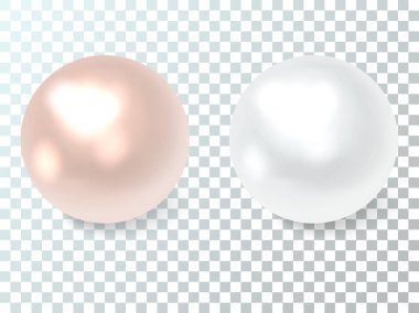 İnci hafif pembe ve soluk mavi. Vektör çizim.
